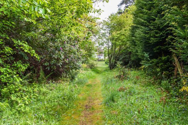 Path To Common