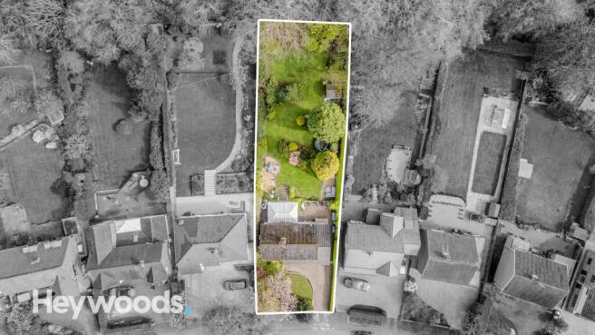 20240420-DJI_0137-Enhanced-SR - Copy