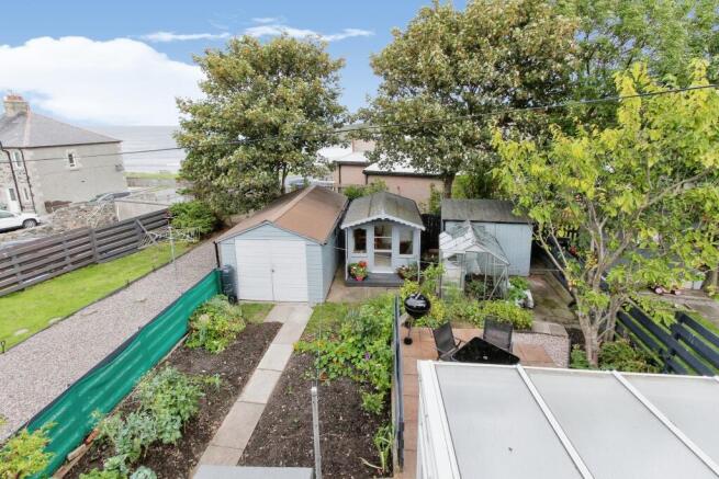 Mature Garden