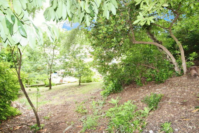 Photo 32