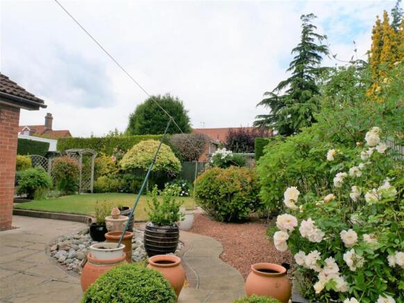 garden.JPG