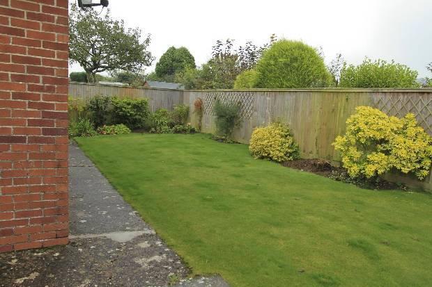 Garden.