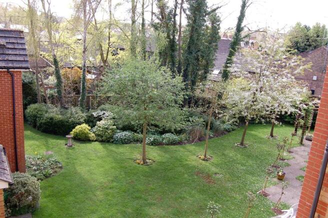 View from flat