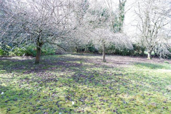 Side Garden