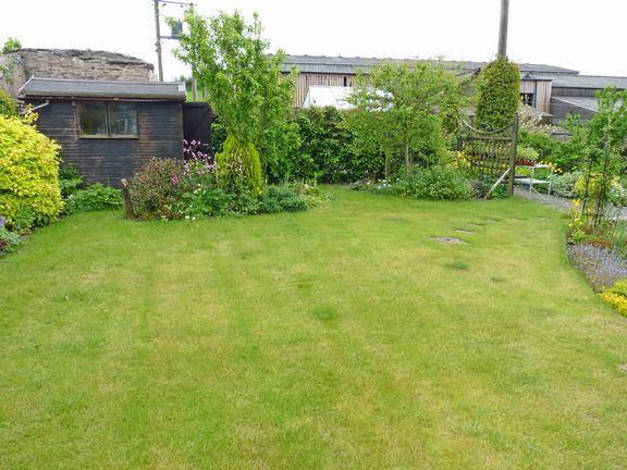Lawn