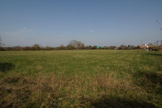 Field Behind