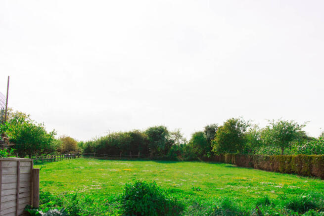 OPEN FIELDS