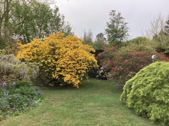 Garden Spring 2022