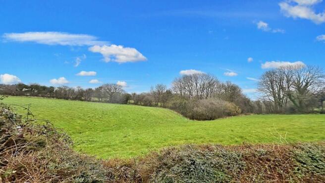View from back garden.jpg