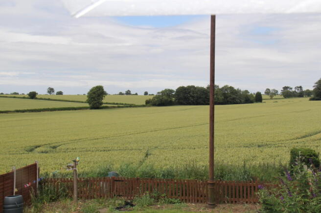 Extra image 5