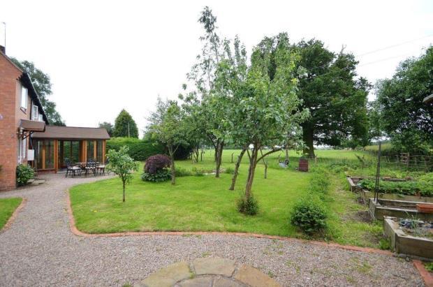 Garden Image 5