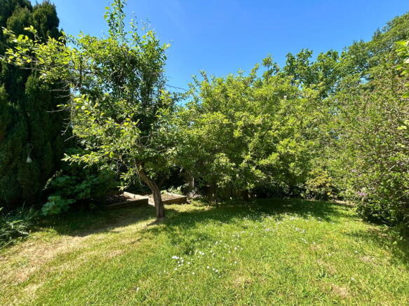 Photo 29