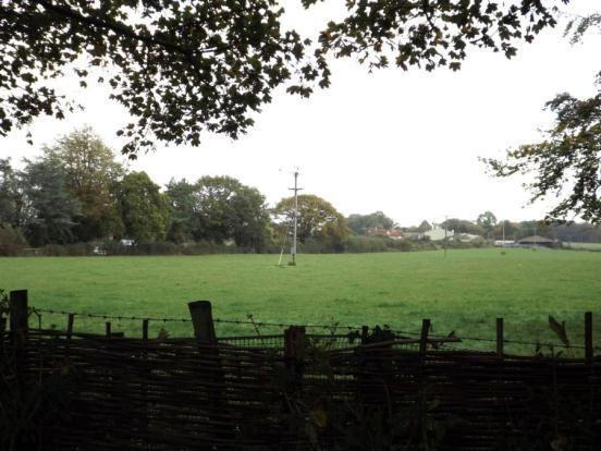 View Over Field
