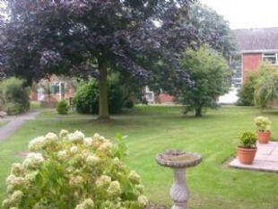 Communal Gardens