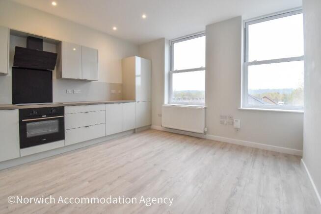 Kitchen/Living Room