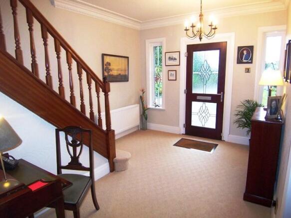 Picture 8