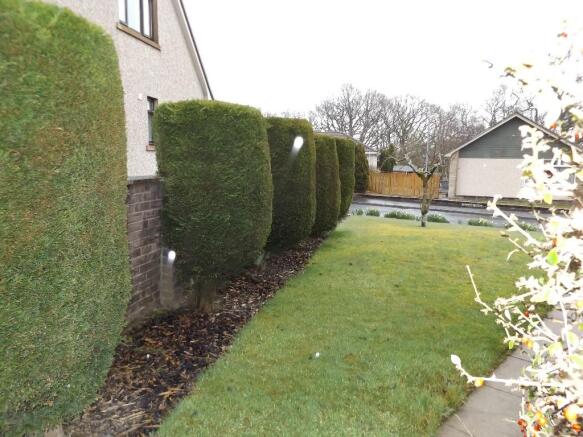 Side Garden