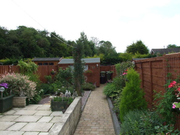 Photo 11