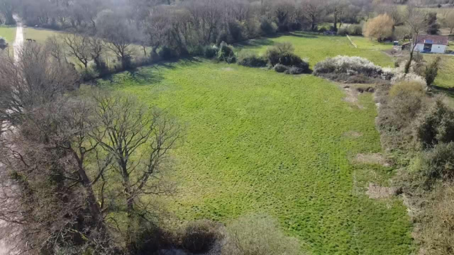 Griston Road, Carbrooke, Thetford photo 4