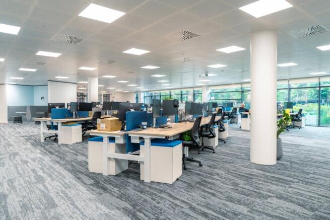 Adobe Express  file 1.jpg