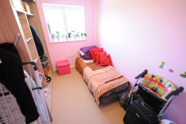 Photo 5