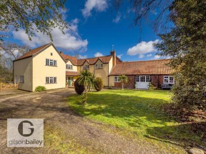 Damgate Lane, Acle