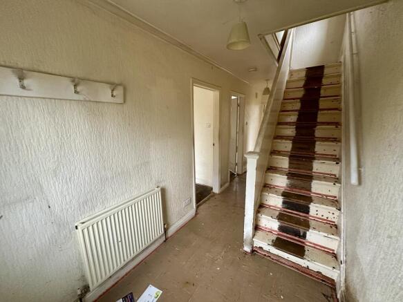 IMG 4781 T202602051447.jpeg