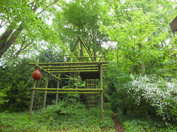 Photo 4