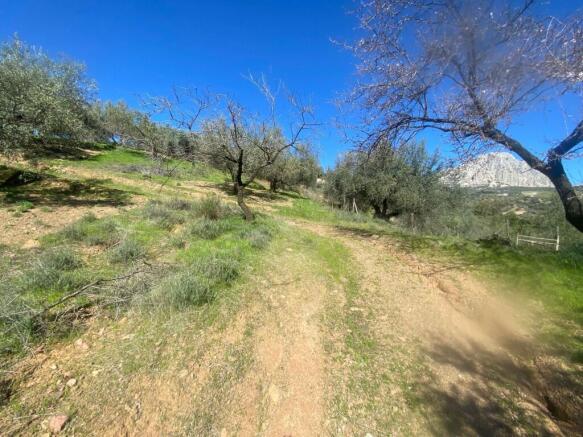 plot-land-malaga-rio