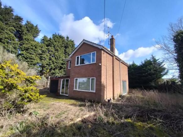 IMG20250314131055 - Copy.jpg