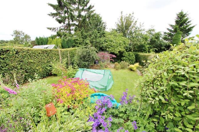 garden angle 2
