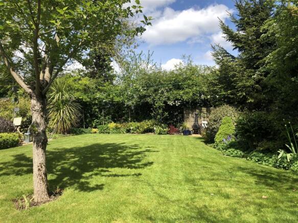 garden in the summer!