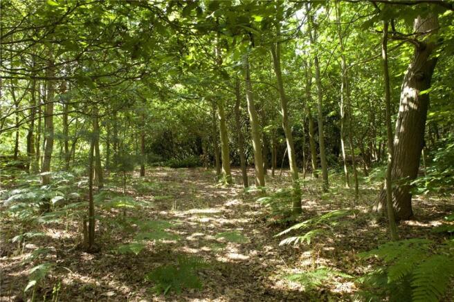 Woodland