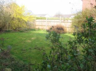 Side Garden