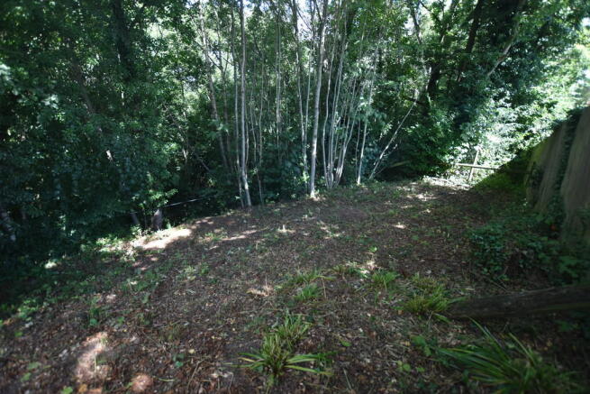 Photo 25