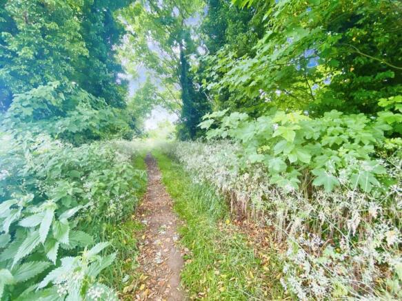 Local walk