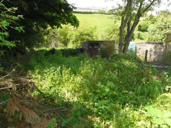 BOTTOM OF GARDEN