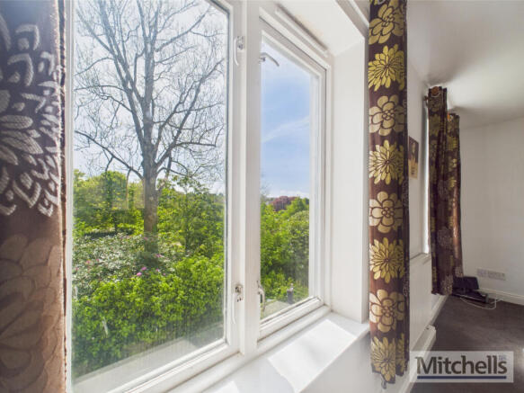 View from Living Room