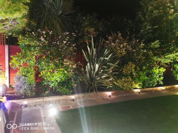 Garden At Night