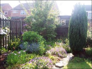Photo 8