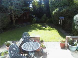 South Rear Garden