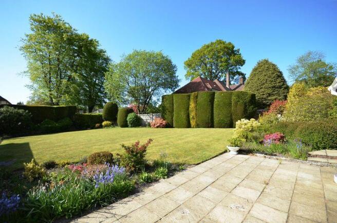 Photo 12
