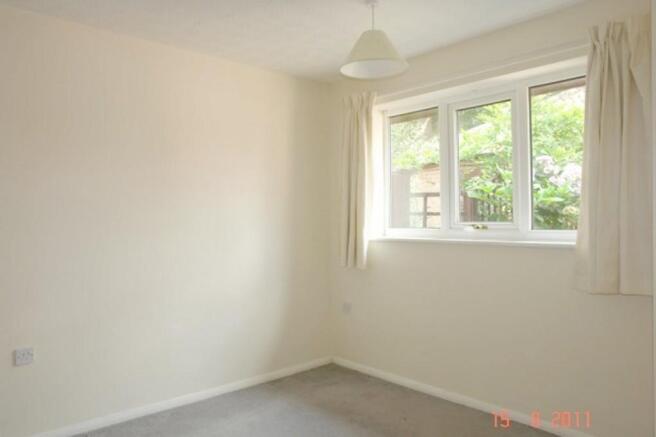 Picture 8