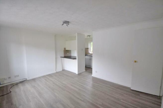 Open plan Living Area