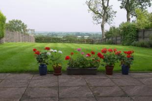 Rear Garden 1