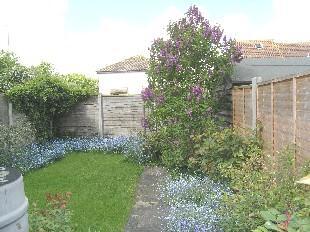 Rear of Garden
