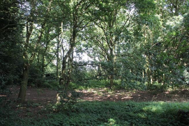 Woodland