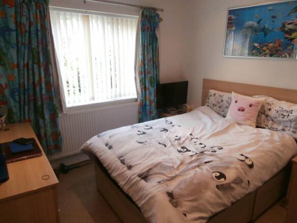 Photo 8