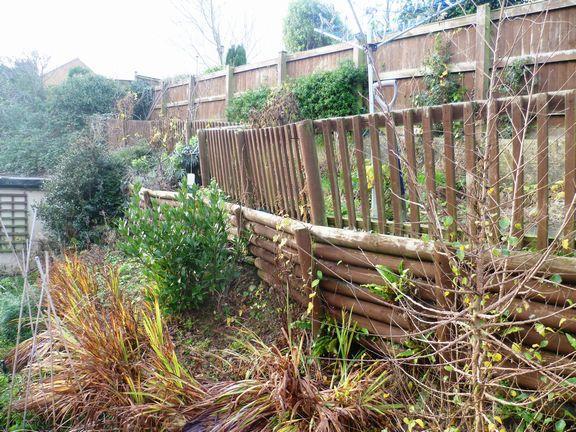 Garden 2