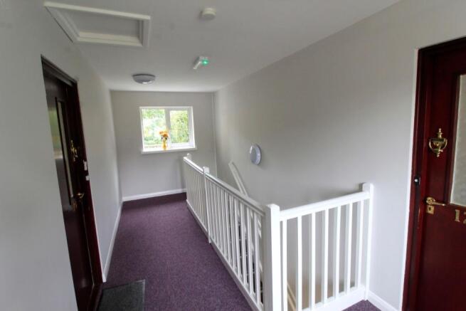 Photograph 11